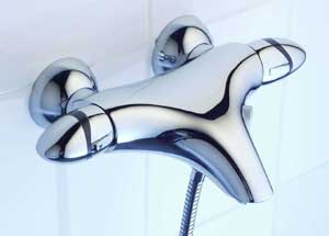 bath/shower wall mounted bath/shower wall mounted